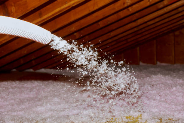 Best Eco-Friendly Insulation in Tice, FL