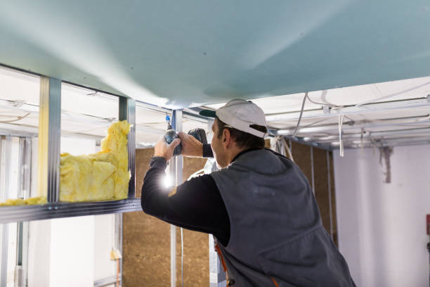 Best Geographic-Specific Insulation Services in Tice, FL