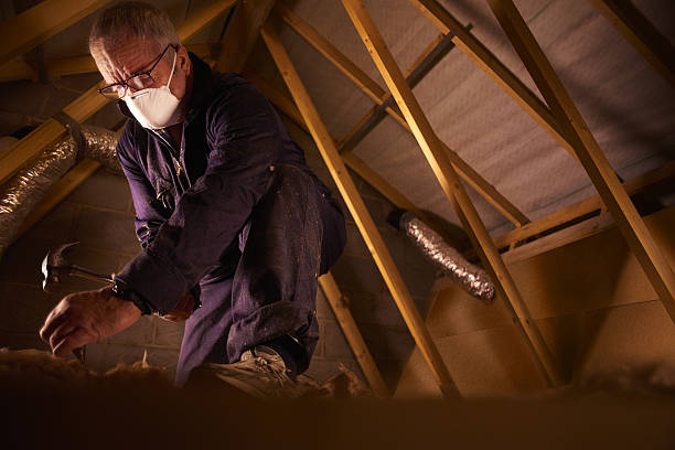 Professional Insulation Contractor in Tice, FL