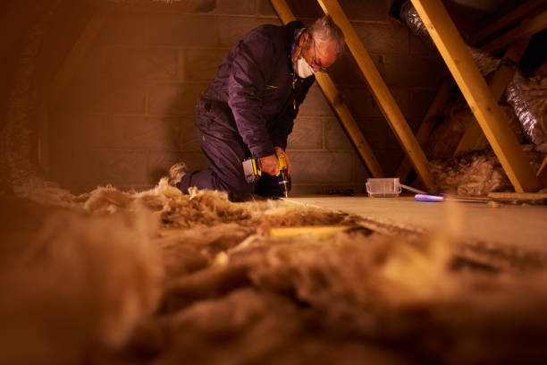 Best Cellulose Insulation in Tice, FL